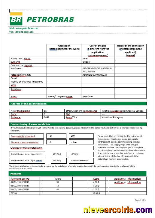 Paraguay Petrobras Paraguay Operations and Logistics gas company